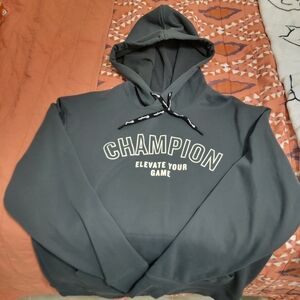 Grey Champion Hoodie Sweatshirt